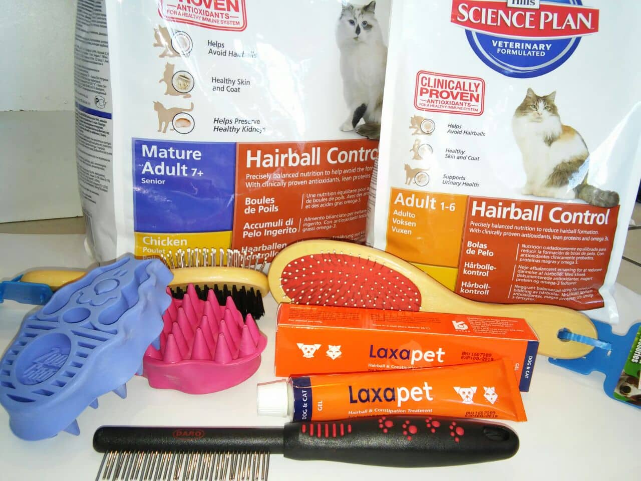 Hairballs: how to prevent them harming your cat | EberVet Petcare Group