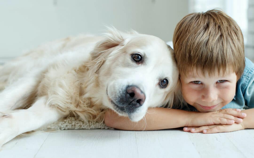 Pet health tips for the month