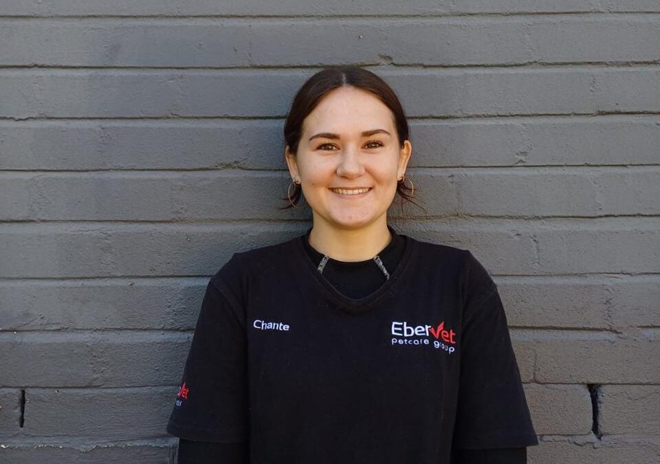 Chante – Receptionist