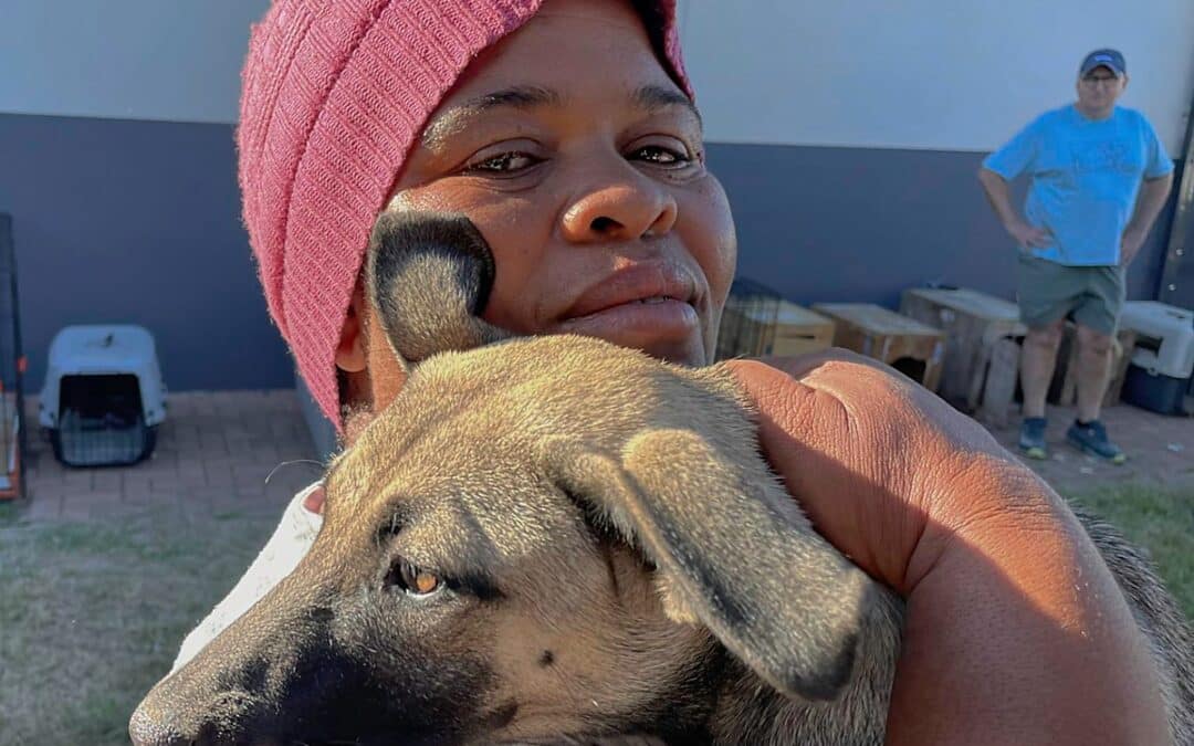 Making a Big Difference: SAWS Sterilisation Day in Stanford